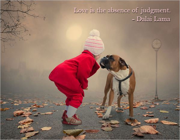 Love or Judgement?